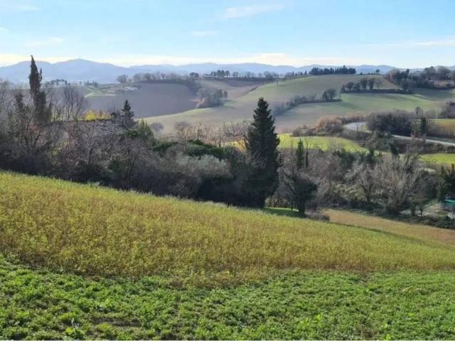 Rustico in vendita a Candelara, Pesaro