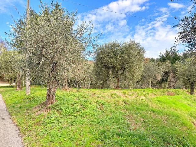 Rustico in vendita a Unione dei comuni Media Valle del Serchio, Pescaglia