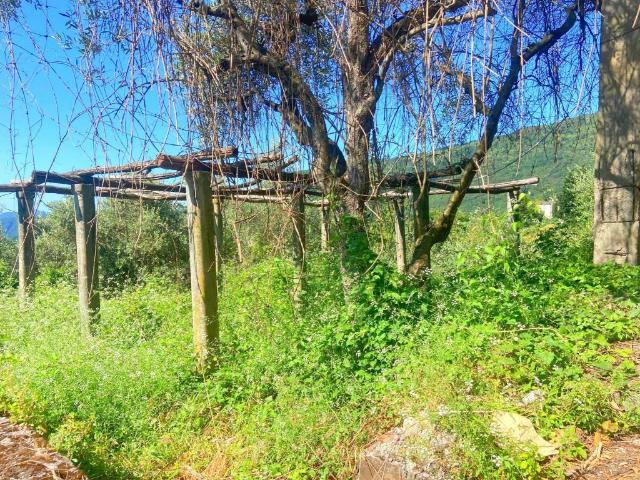 Rustico in vendita a Loppeglia, Pescaglia