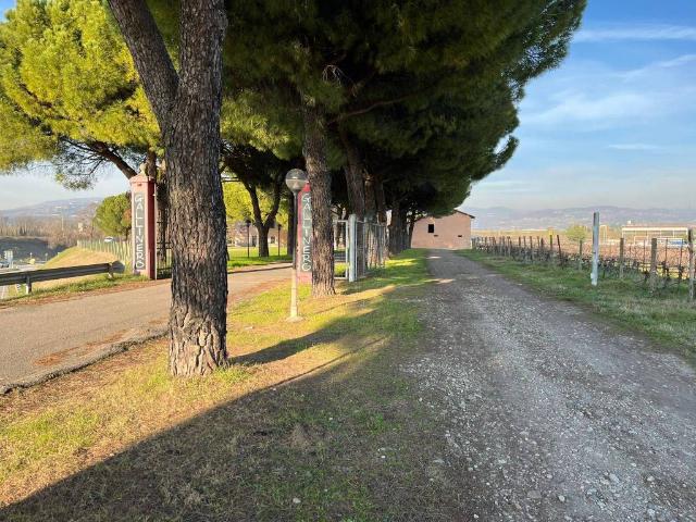 Rustico in vendita a Balconi, Pescantina
