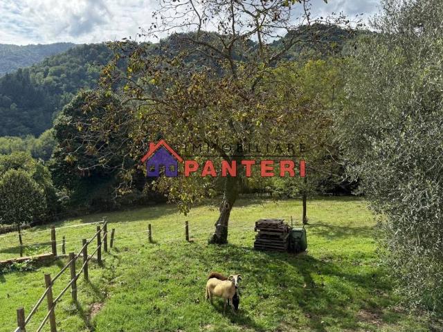 Rustico in vendita a San Lorenzo a Cerreto, Uzzano E Castello