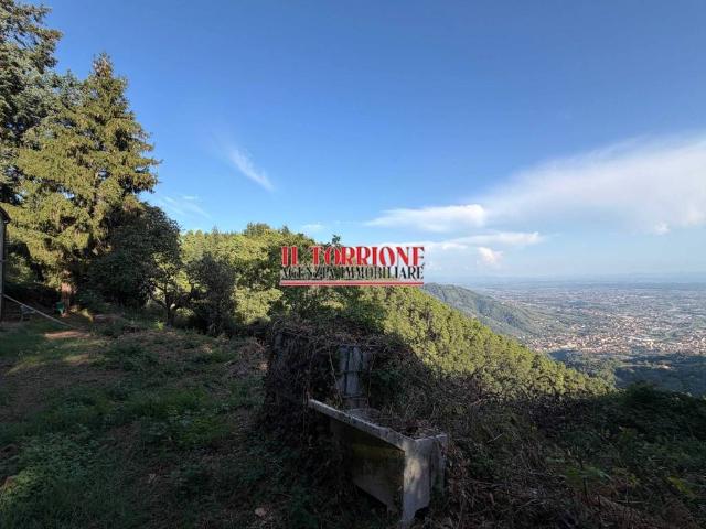 Rustico in vendita a Monte a Pescia, Pescia