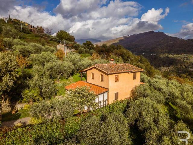 Rustico in vendita a Castelvecchio, Uzzano E Castello
