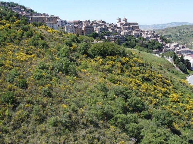 Rustico in vendita a Petralia Sottana, Sicilia
