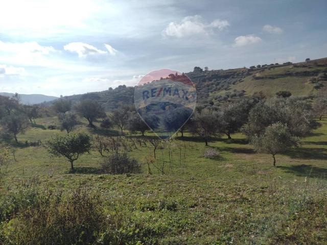 Rustico in vendita a Gatta, Piazza