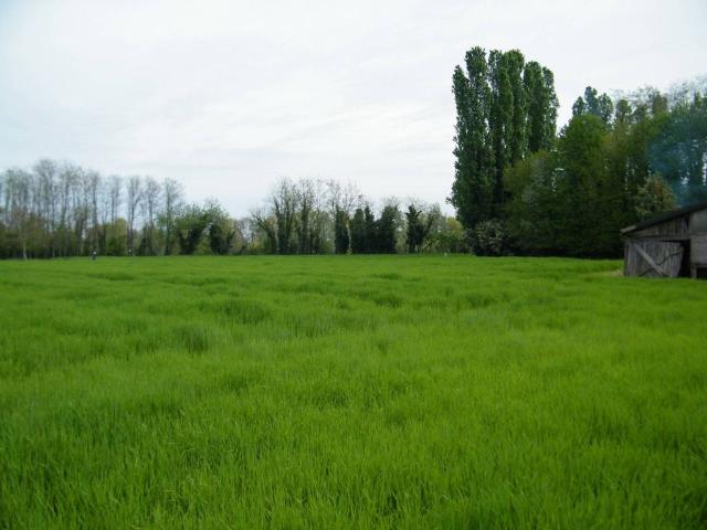 Rustico in vendita a Piazzola Sul Brenta, Veneto