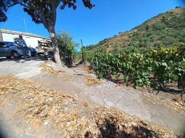 Rustico in vendita a Piedimonte Etneo, Sicilia