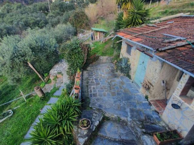 Rustico in vendita a Tonfano, Toscana