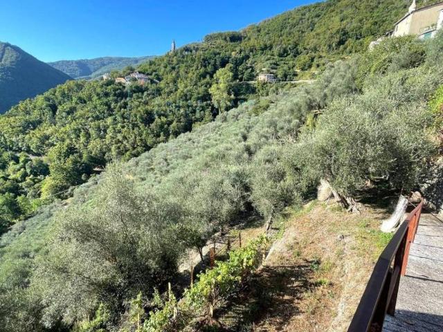 Rustico in vendita a Pieve Di Teco, Liguria