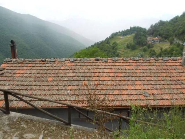 Rustico in vendita a Capraia Il Borgo, Pieve Fosciana