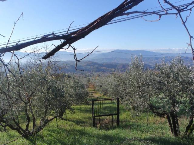 Rustico in vendita a Piglio, Lazio
