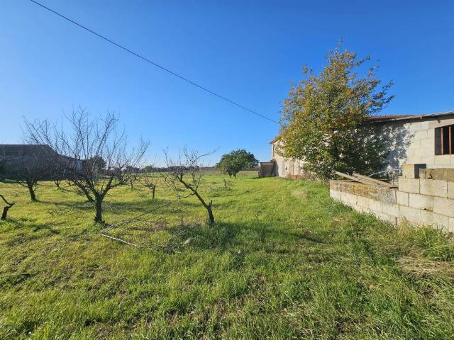 Rustico in vendita a Pignataro Maggiore, Campania