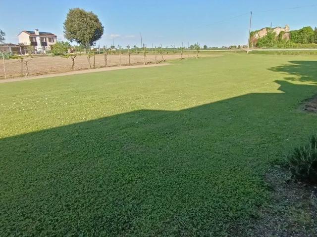 Rustico in vendita a Fiesso Umbertiano, Veneto