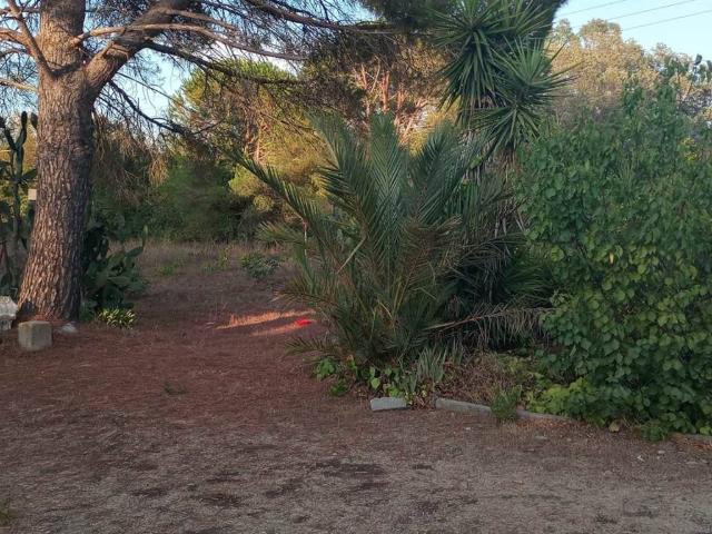 Rustico in vendita a Populonia Stazione, Piombino