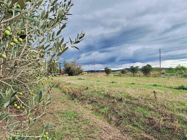 Rustico in vendita a Piombino, Toscana