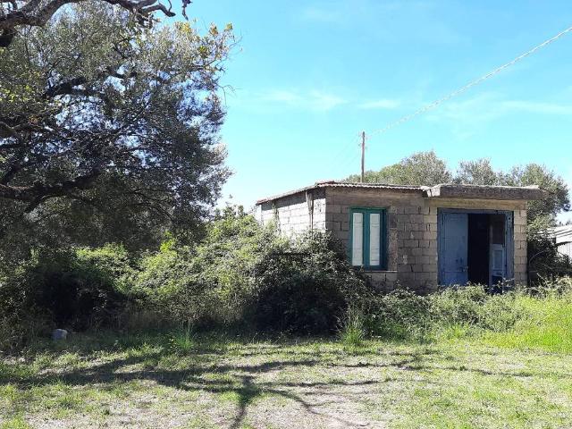 Rustico in vendita a Pisciotta, Campania
