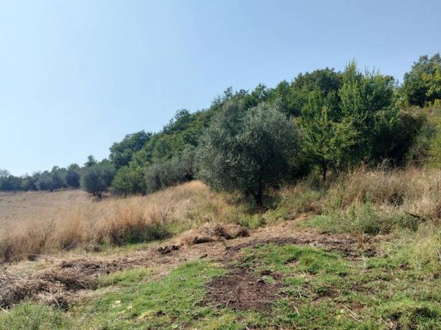 Rustico in vendita a Unione di Comuni Montani Colline del Fiora, Pitigliano