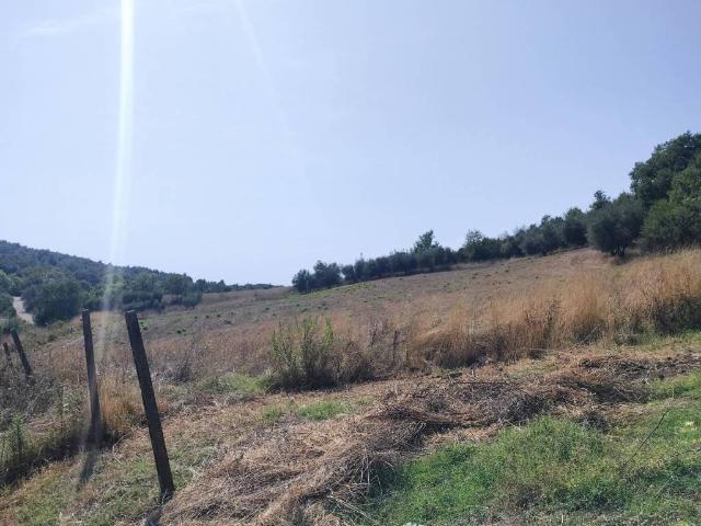 Rustico in vendita a Unione di Comuni Montani Colline del Fiora, Pitigliano