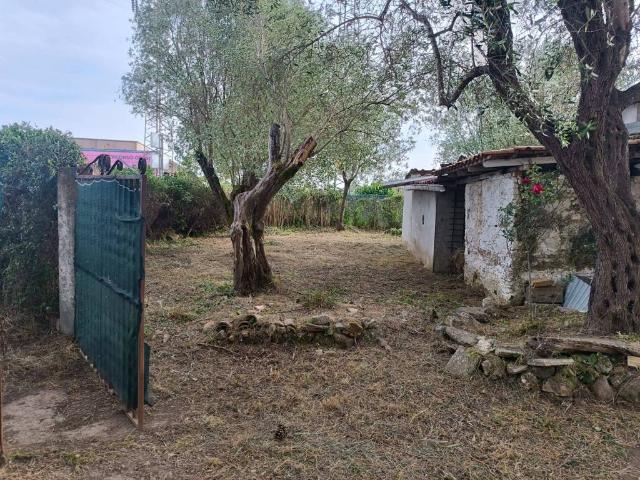 Rustico in vendita a Calabria, Vibo Valentia
