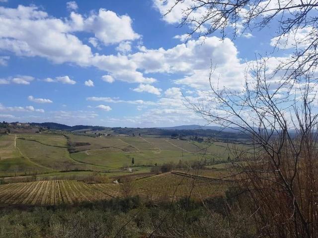 Rustico in vendita a Calcinaia, Lecchi