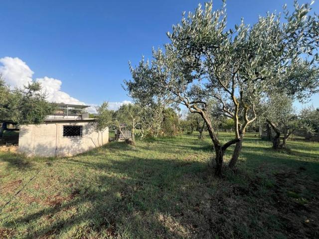 Rustico in vendita a Roma Capitale, Lazio