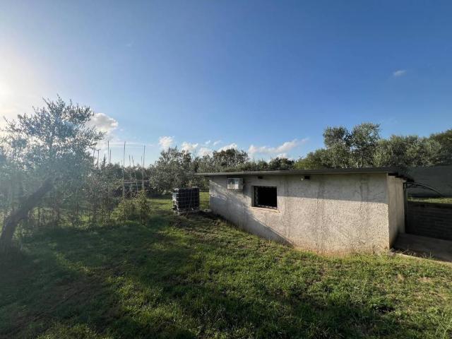 Rustico in vendita a Roma Capitale, Lazio