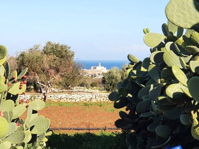 Rustico in vendita a Polignano a Mare, Bari