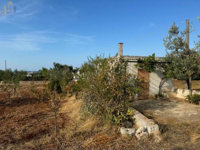 Rustico in vendita a Polignano A Mare, Bari
