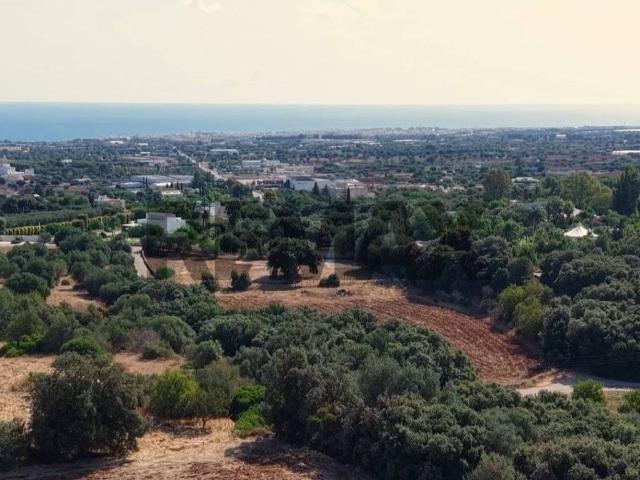 Rustico in vendita a Polignano a Mare, Bari