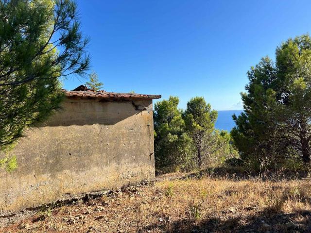 Rustico in vendita a Pollica, Campania