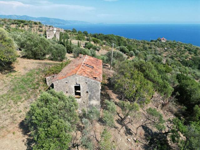 Rustico in vendita a Pollica, Campania