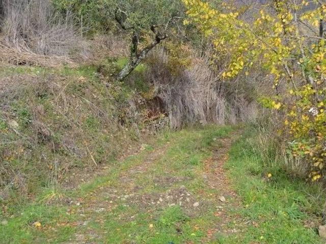 Rustico in vendita a Pollica, Campania