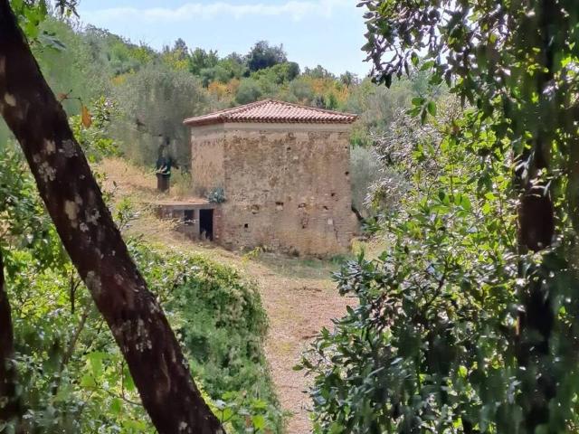 Rustico in vendita a Galdo, Pollica