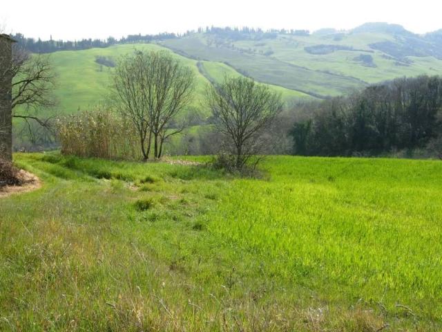 Rustico in vendita a Larderello, Toscana
