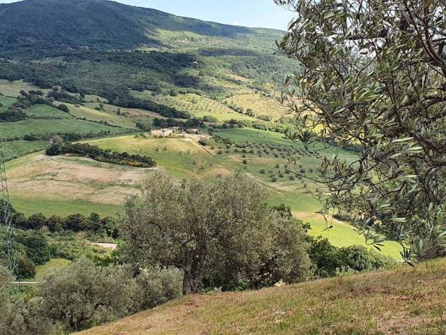Rustico in vendita a Larderello, Toscana