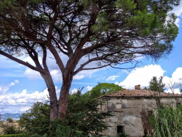 Rustico in vendita a Pomarance, Pisa