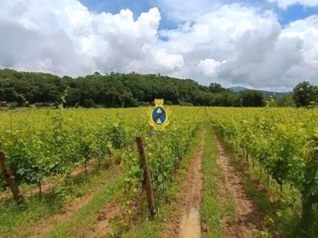 Rustico in vendita a Unione di Comuni Valdarno e Valdisieve, Pontassieve