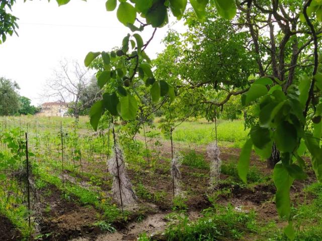 Rustico in vendita a Aquara, Pontecagnano