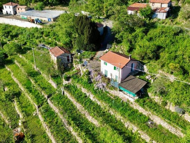 Rustico in vendita a Pontedassio, Liguria