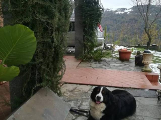 Rustico in vendita a Piemonte, Alessandria