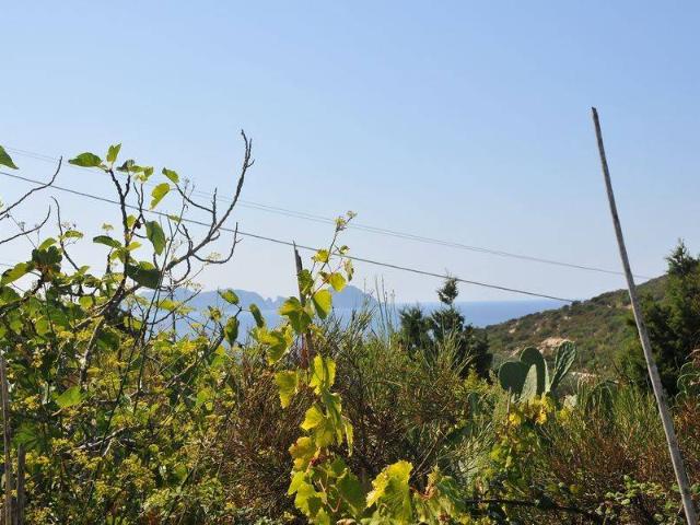 Rustico in vendita a Ponza, Lazio