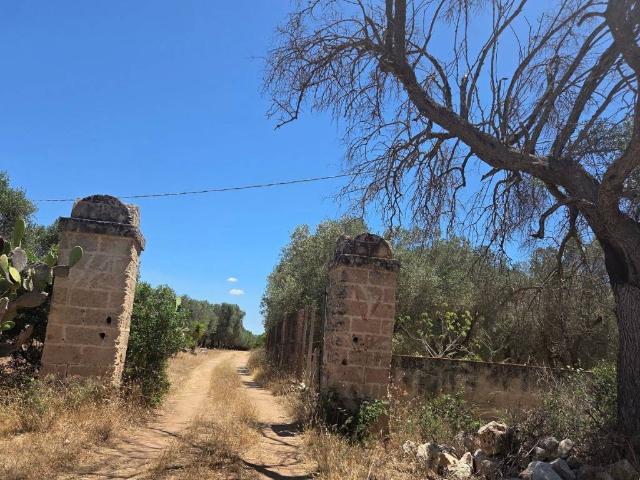 Rustico in vendita a Punta Grossa, Puglia