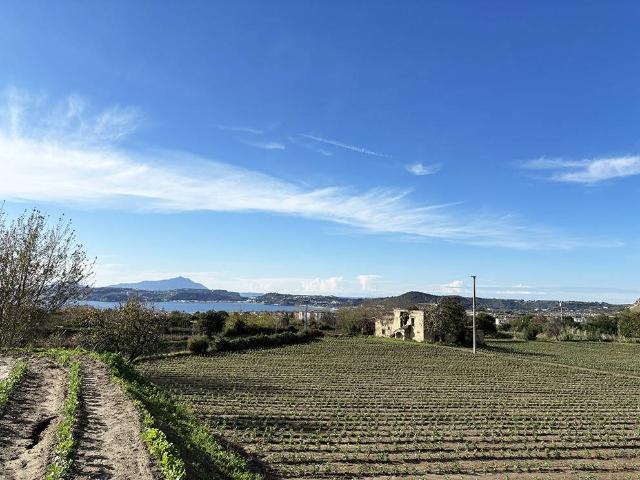 Rustico in vendita a Cigliano, Pozzuoli