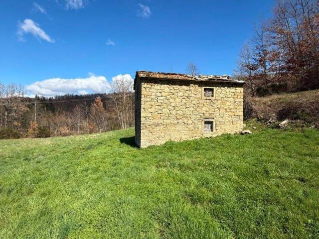 Rustico in vendita a Pratovecchio Stia, Pratovecchio