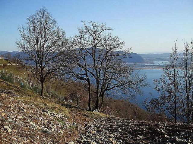 Rustico in vendita a Predore, Lombardia