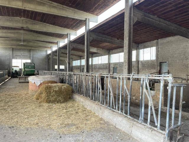 Rustico in vendita a Pregnana Milanese, Lombardia