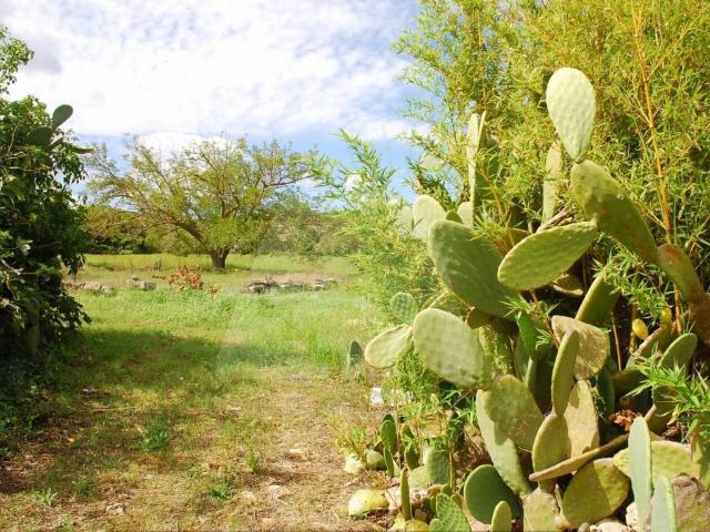 Rustico in vendita a Presicce, Puglia