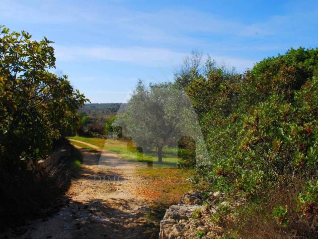 Rustico in vendita a Puglia, Lecce