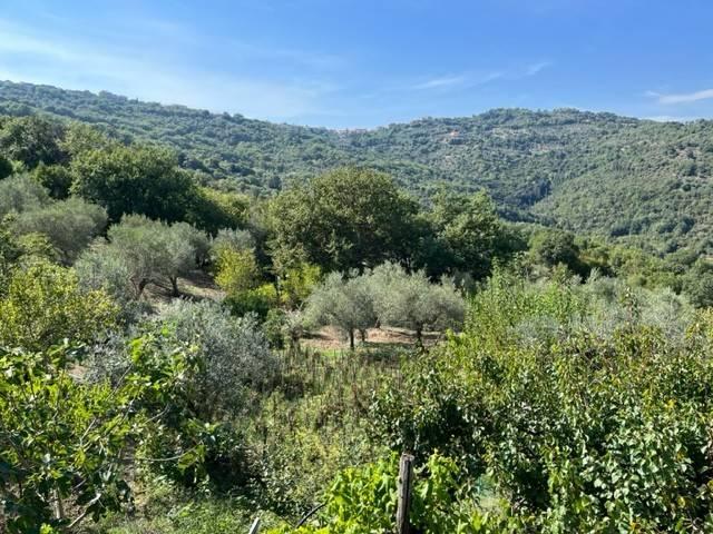 Rustico in vendita a Prignano Cilento, Campania