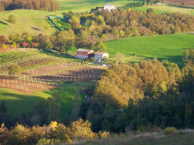 Rustico in vendita a Unione dei comuni del Distretto Ceramico, Prignano Sulla Secchia